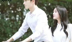 好看的电视剧排行,盘点近期热播电视剧排行TOP10